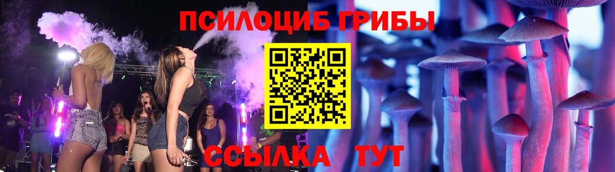 купить  цена  Псилоцибиновые грибы MAGIC MUSHROOMS  Вход с VPN  Чебаркуль  Псилоцибиновые грибы Cubensis 